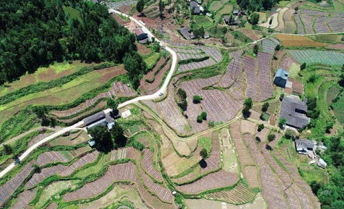 重磅丨計劃投資106.8億元,將用在這些地方