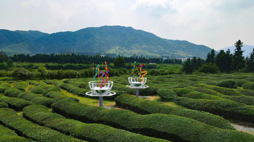 鄉(xiāng)村旅游呈多元蓬勃發(fā)展趨勢 為鄉(xiāng)村振興加碼助力