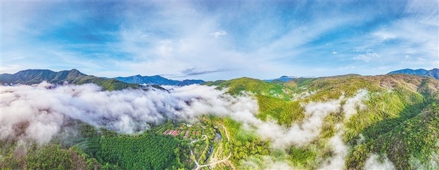 兩會(huì)熱詞 | 圍繞熱帶雨林國家公園 海南將規(guī)劃建設(shè)多個(gè)文旅項(xiàng)目