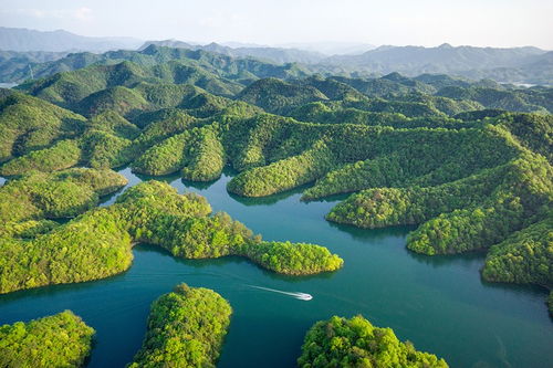 青龍灣生態(tài)旅游區(qū)