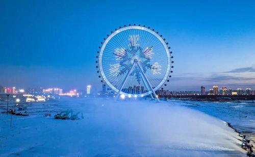 約會哈爾濱 冰雪暖世界 入選全國十佳案例