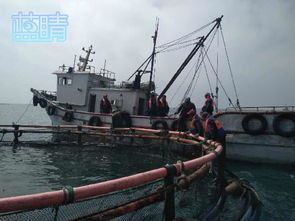 青島正研制深海智能化網(wǎng)箱系統(tǒng),大力發(fā)展深遠海養(yǎng)殖