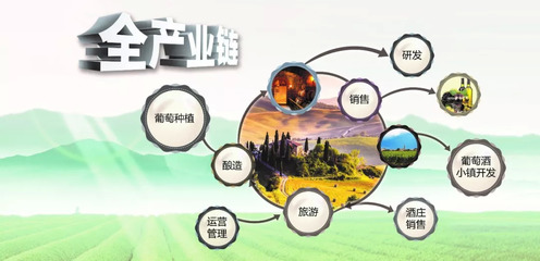 加碼13.4萬畝葡萄酒小鎮(zhèn),“朗斐式扶貧”給寧夏多少想象力?