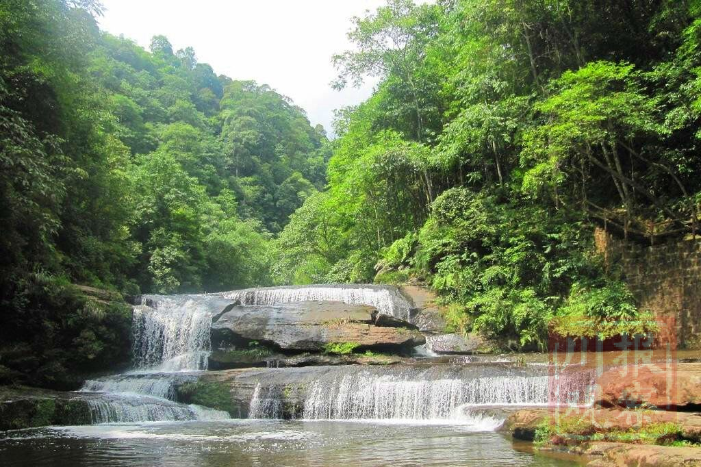 瀘州黃荊老林獲50億元投資:爭(zhēng)當(dāng)川南旅游業(yè)“龍頭”