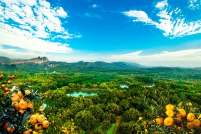 撫州市人民政府 旅游撫州 南豐橘文化旅游產(chǎn)業(yè)集聚區(qū)