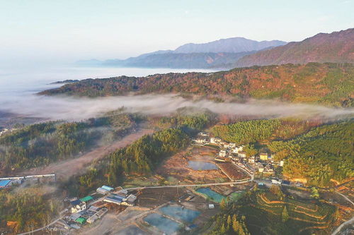 江淮 有禮 徽風(fēng)皖韻帶回家