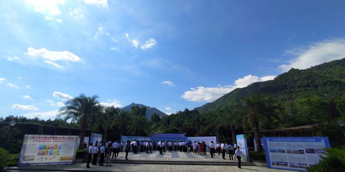 2022年九江市旅游產業(yè)發(fā)展大會召開