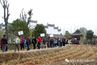 熱烈祝賀 南平市首屆旅游產(chǎn)業(yè)發(fā)展大會(huì)暨旅游產(chǎn)品交易會(huì)在武夷山隆重召開